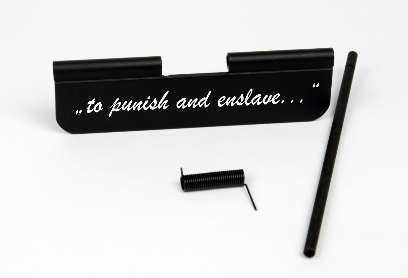 AR-15 Dust Cover „to punish and enslave...“